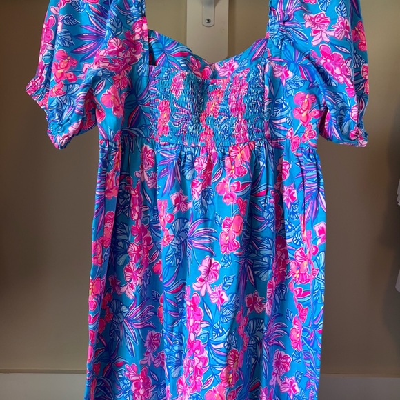 NWT Lilly Pulitzer Delaney Short Sleeve Dress - Picture 5 of 6